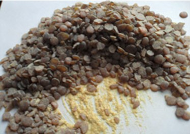 16號(hào)顆粒碳九石油樹脂